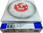 Segmenti Motor Tractor FIAT 100.00mm 2.5x2.5x5.50mm 1900709. 1900711. 1908737