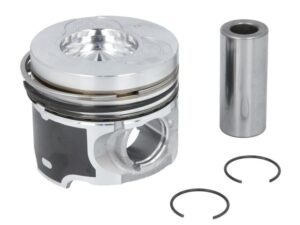 Piston 0220102. 40190610