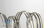 Segmenti Compresor MAN Raba D2156